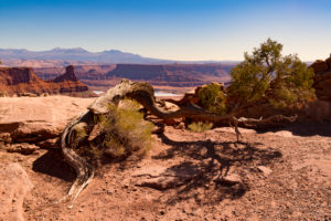 Arches National Park, Moab, USA, landscape Arches National Park, Moab, USA, landscape